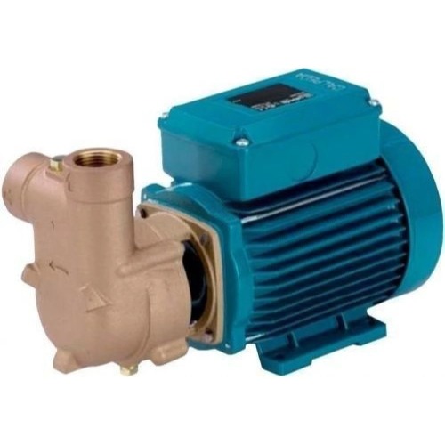 Calpeda B-CAM 91/A  