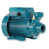 Calpeda CTM 60/A