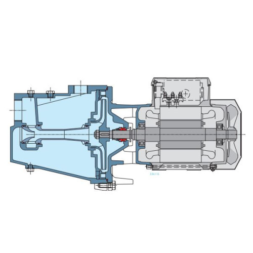 Pump Calpeda NG 5/16/A